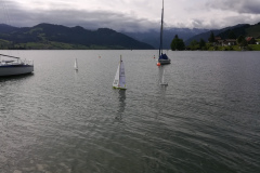 IMG_20190615_095511_resized_20190615_073743379