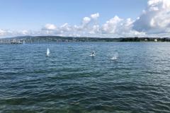 WhatsApp-Image-2019-07-13-at-17.25.581