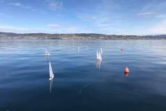 171707615_3918242881545405_1929200305394889221_n