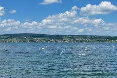 WhatsApp-Image-2021-06-13-at-19.49.32