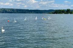 WhatsApp-Image-2021-06-13-at-19.49.43