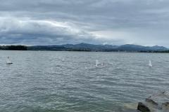 WhatsApp-Image-2021-08-08-at-19.03.23-5