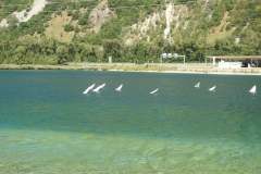 241725488_643475657056942_8131821726954907345_n