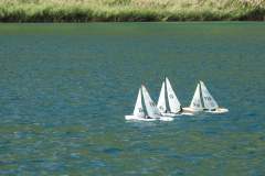 241770825_643475570390284_889489315247359958_n