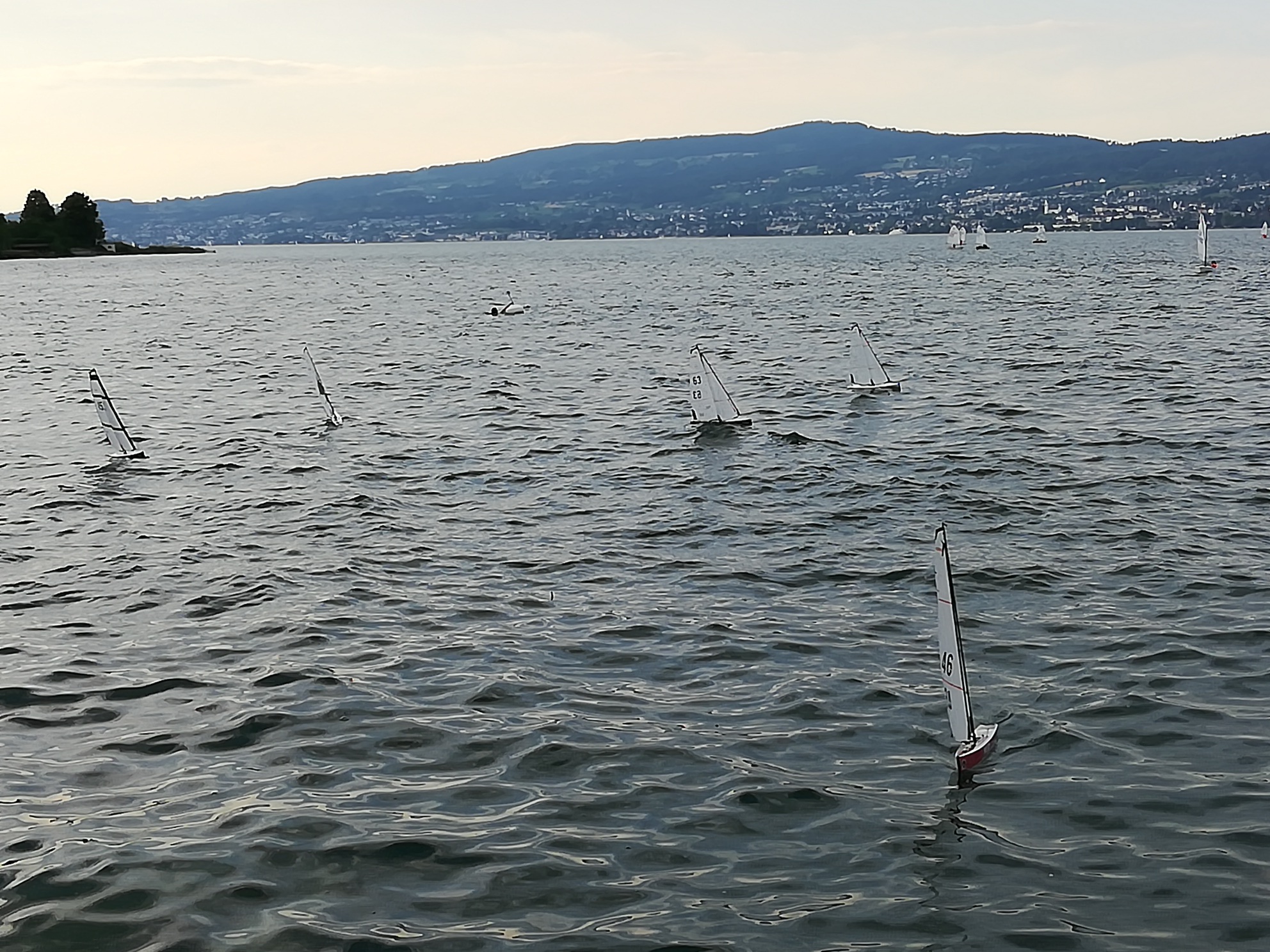 IMG_20190703_191205_resized_20190706_090843859