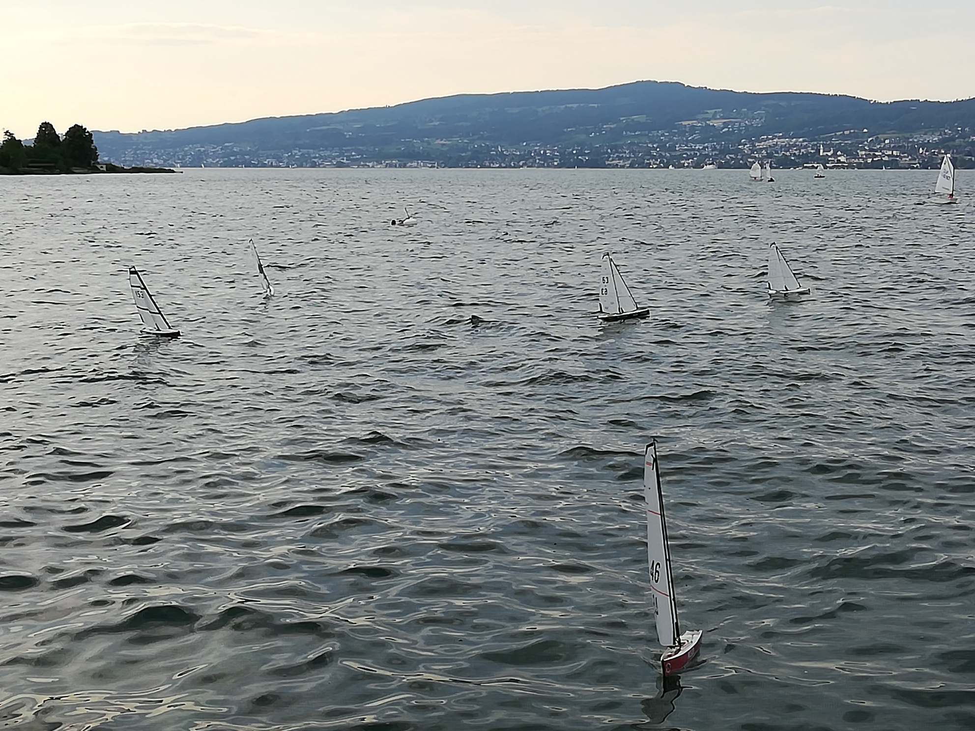 IMG_20190703_191207_resized_20190706_090837534