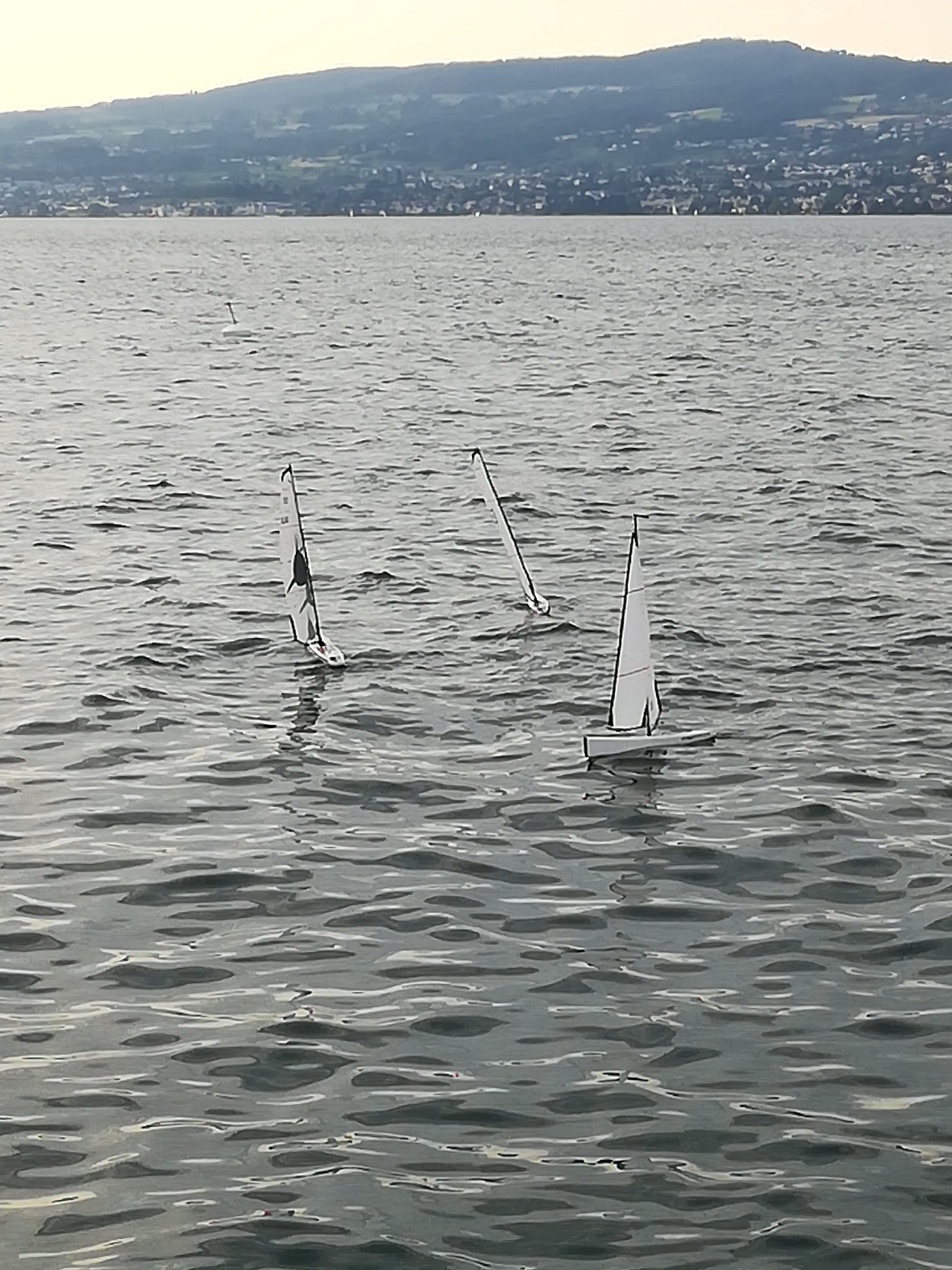 IMG_20190703_193524_resized_20190706_090846498