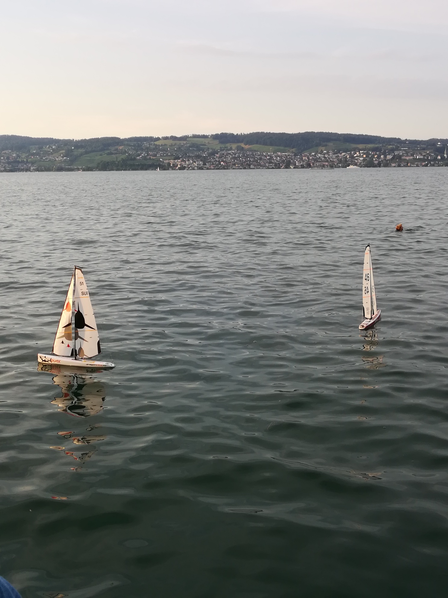 IMG_20190703_200921_resized_20190706_090928178