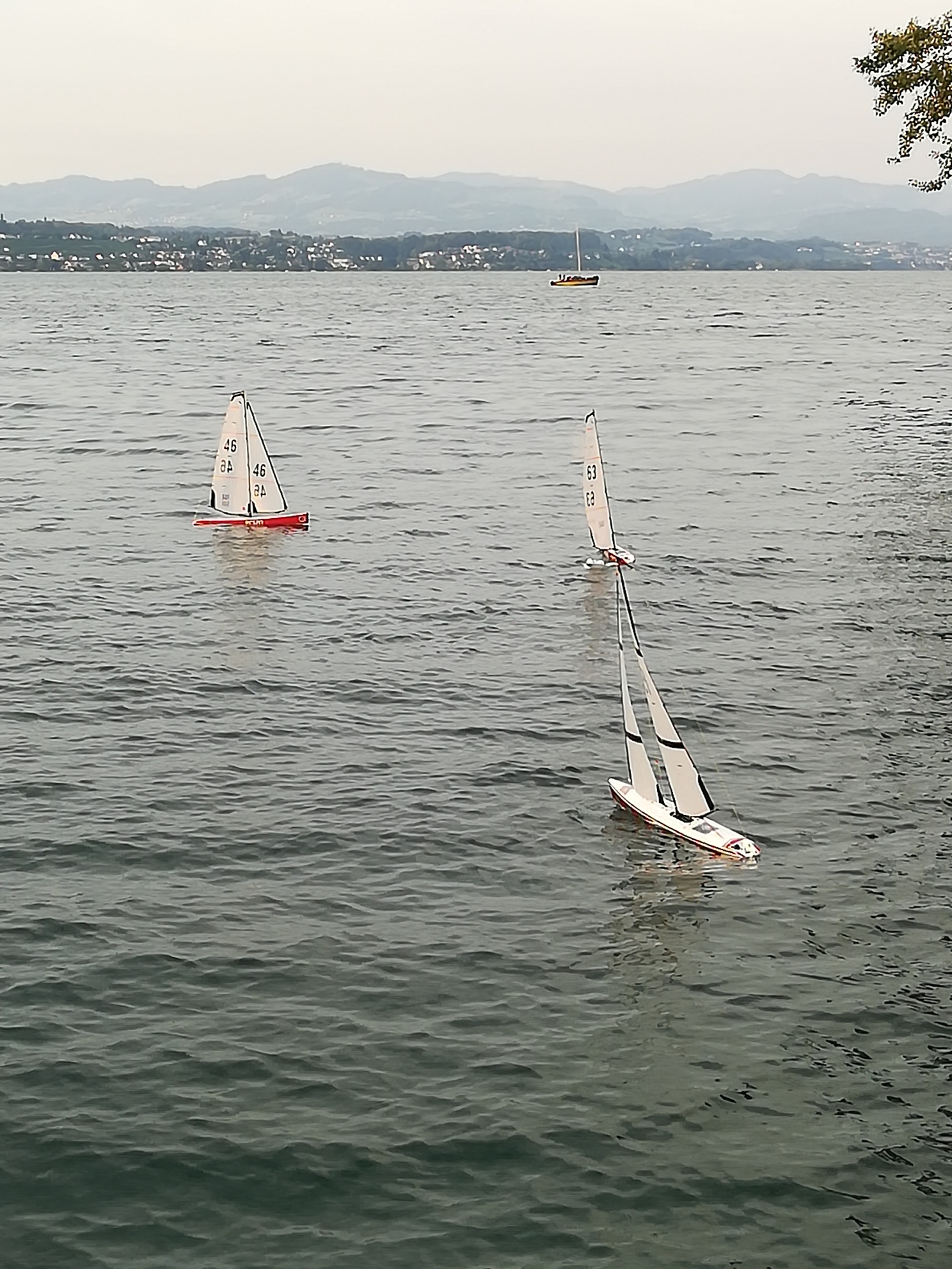 IMG_20190703_204147_resized_20190706_090932234