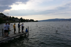 IMG_20190703_191159_resized_20190706_090845125