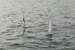 IMG_20190703_193524_resized_20190706_090846498