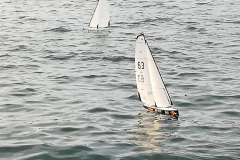 IMG_20190703_194058_resized_20190706_090927643