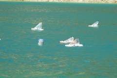 110252195_324076205663557_4158475112184684573_o