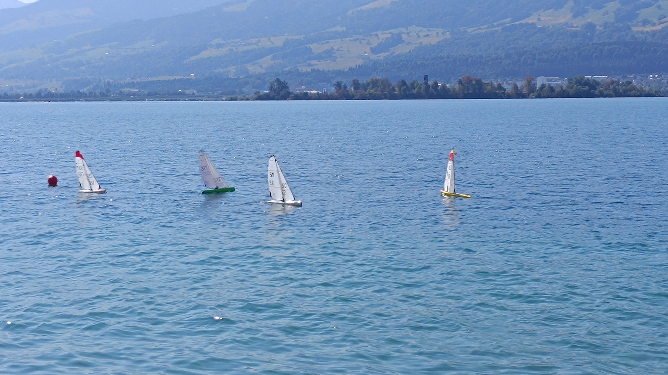 IMG_20260808_104432