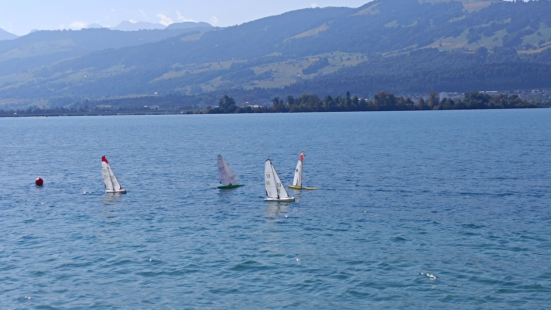 IMG_20260808_104434