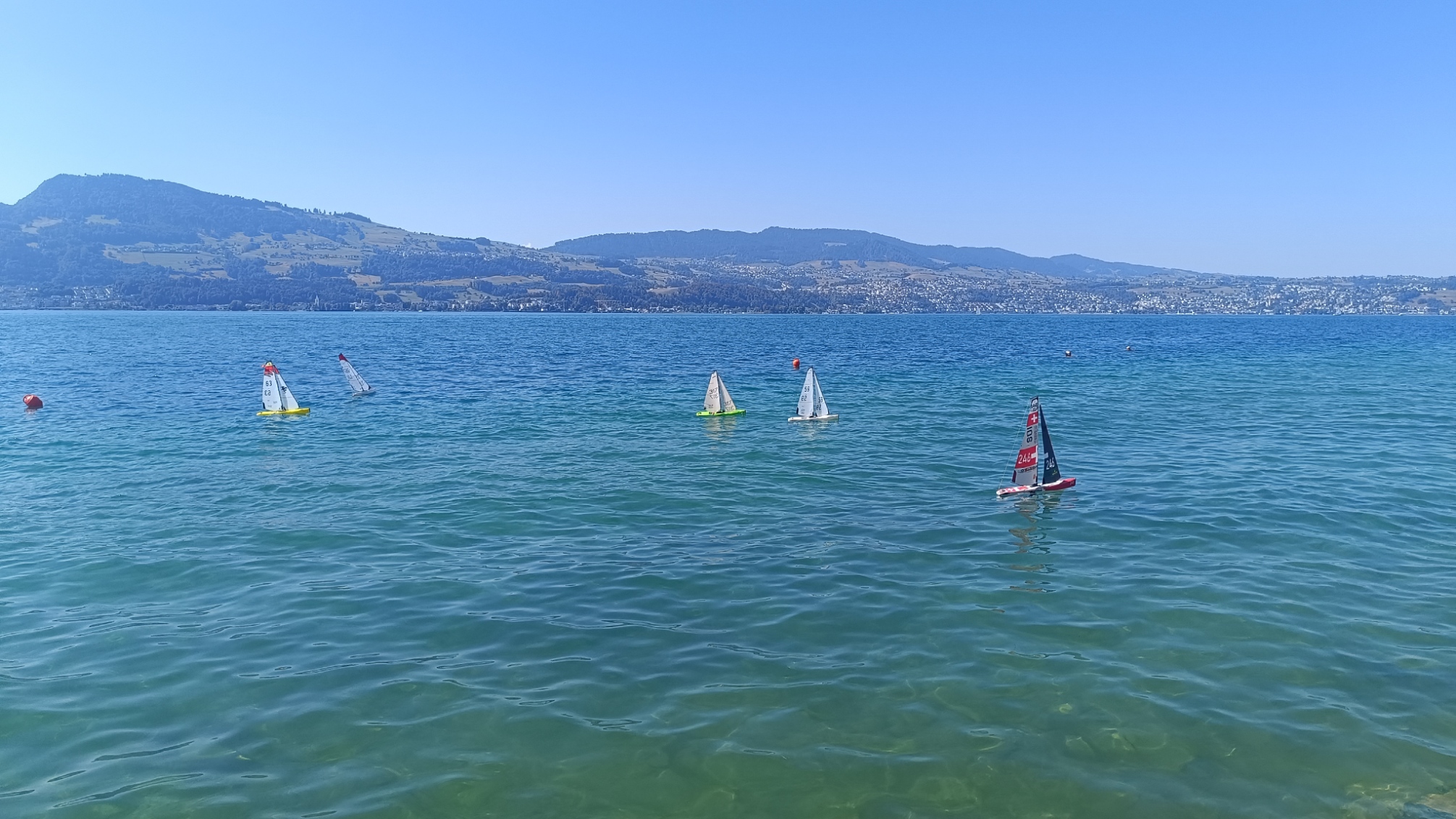 IMG_20260808_110158