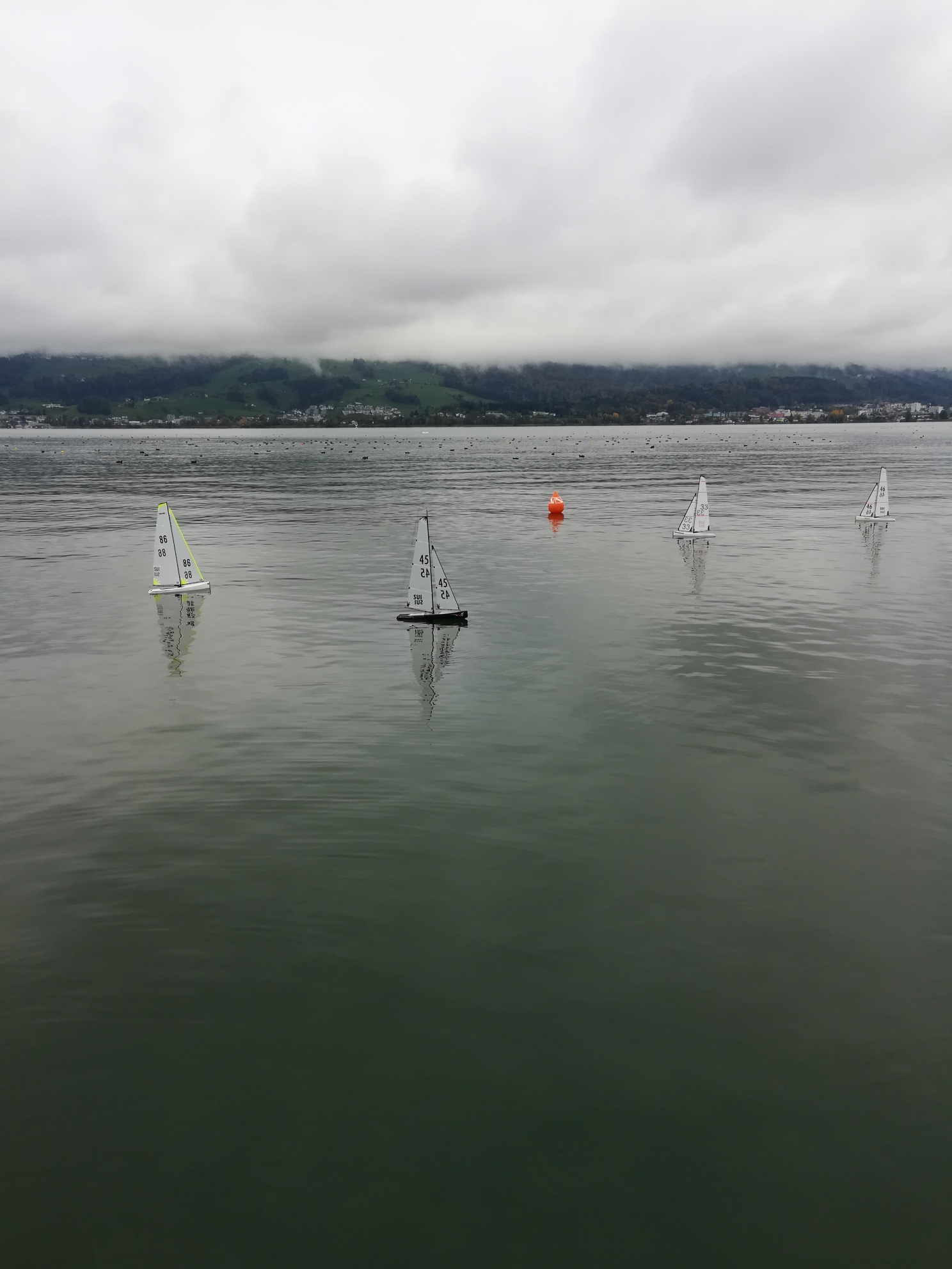 IMG_20181028_131628_resized_20181028_051828914