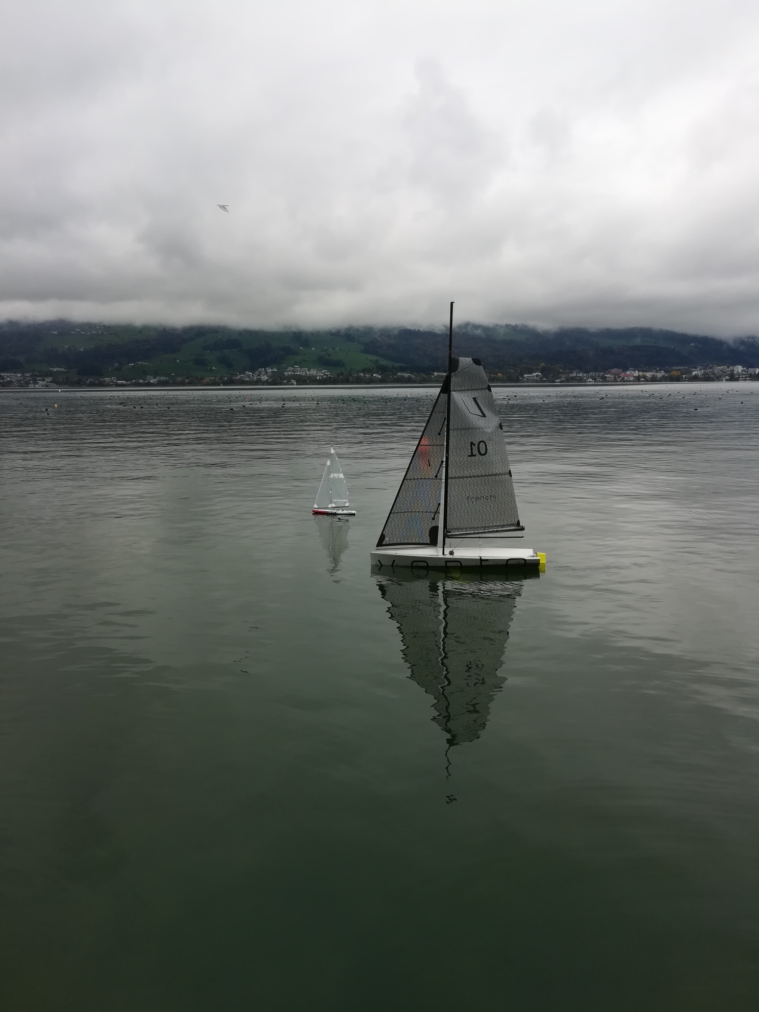 IMG_20181028_134709_resized_20181028_051825467