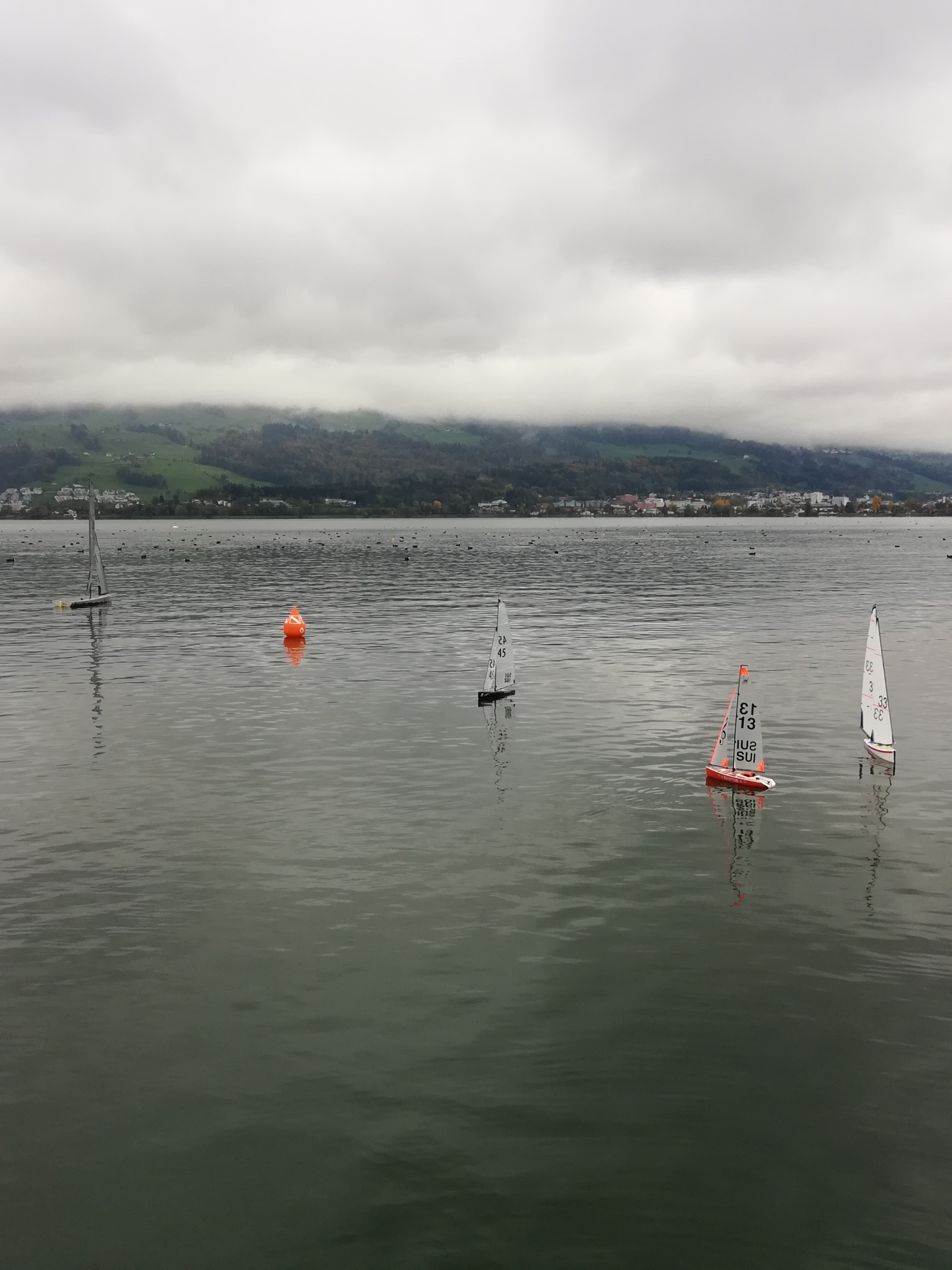 IMG_20181028_140302_resized_20181028_051824541