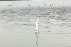 IMG_20181028_124423_resized_20181028_051826022