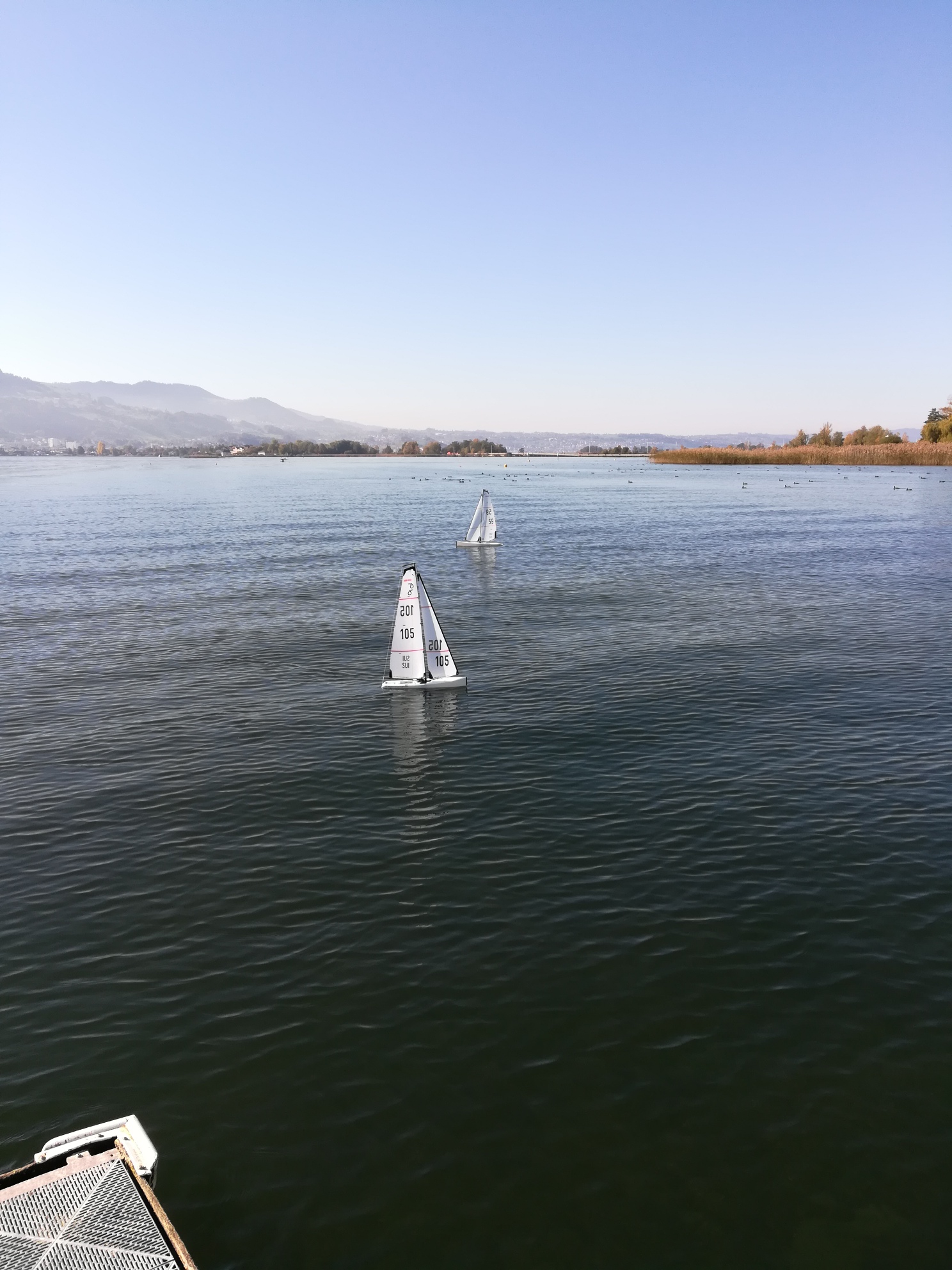 IMG_20191026_124546_resized_20191026_043526626