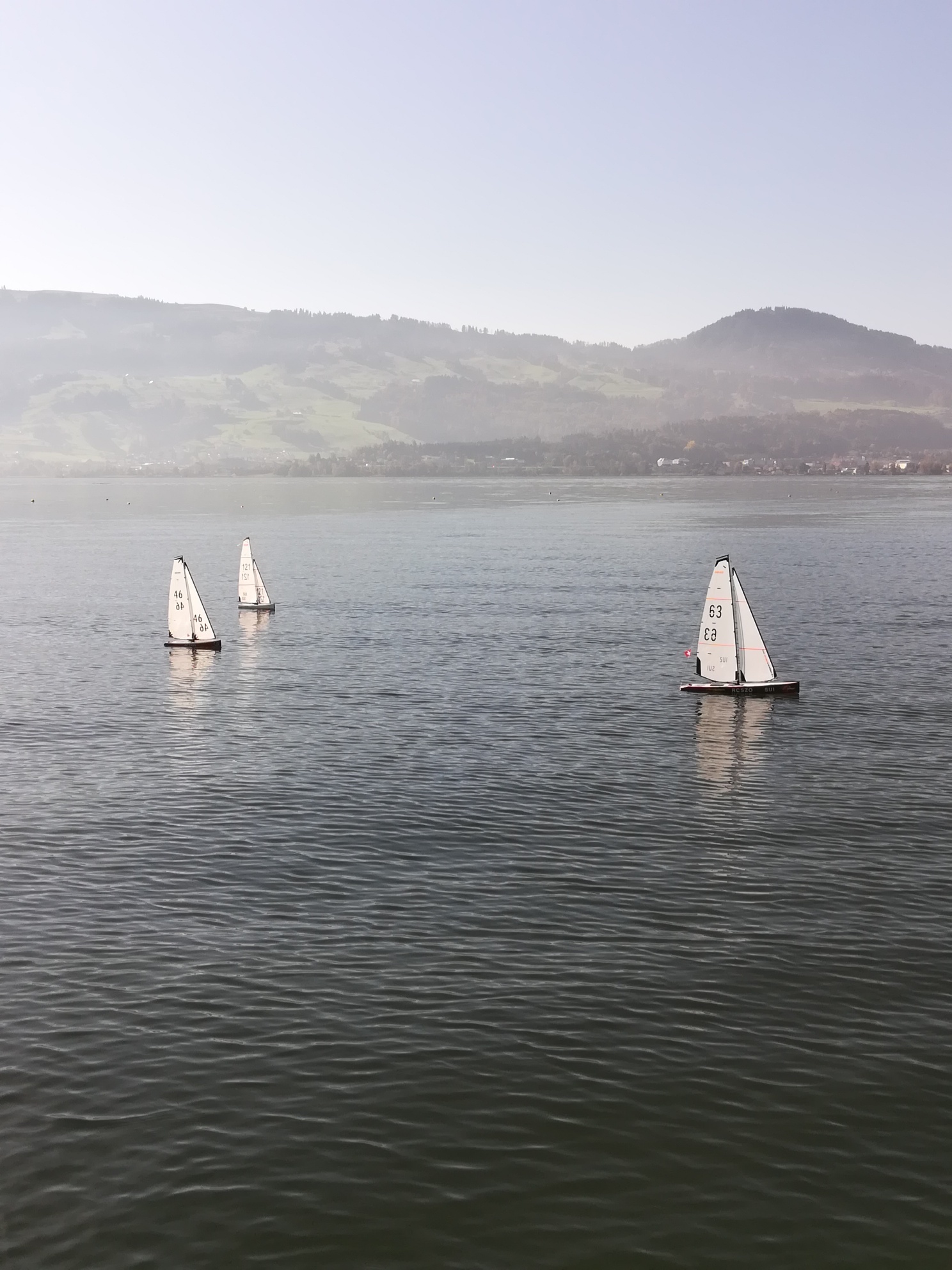 IMG_20191026_124556_resized_20191026_043522891