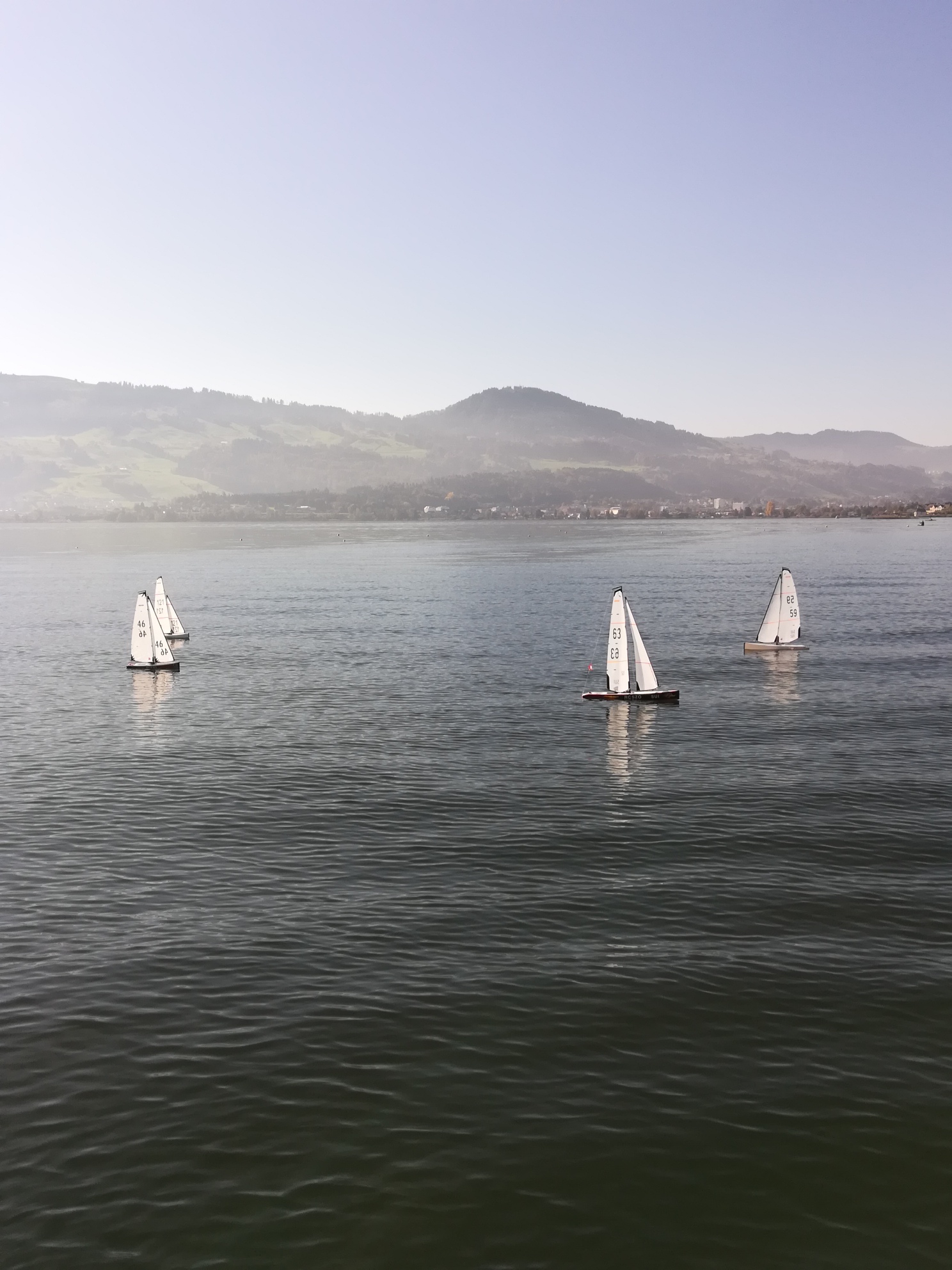 IMG_20191026_124600_resized_20191026_043523601