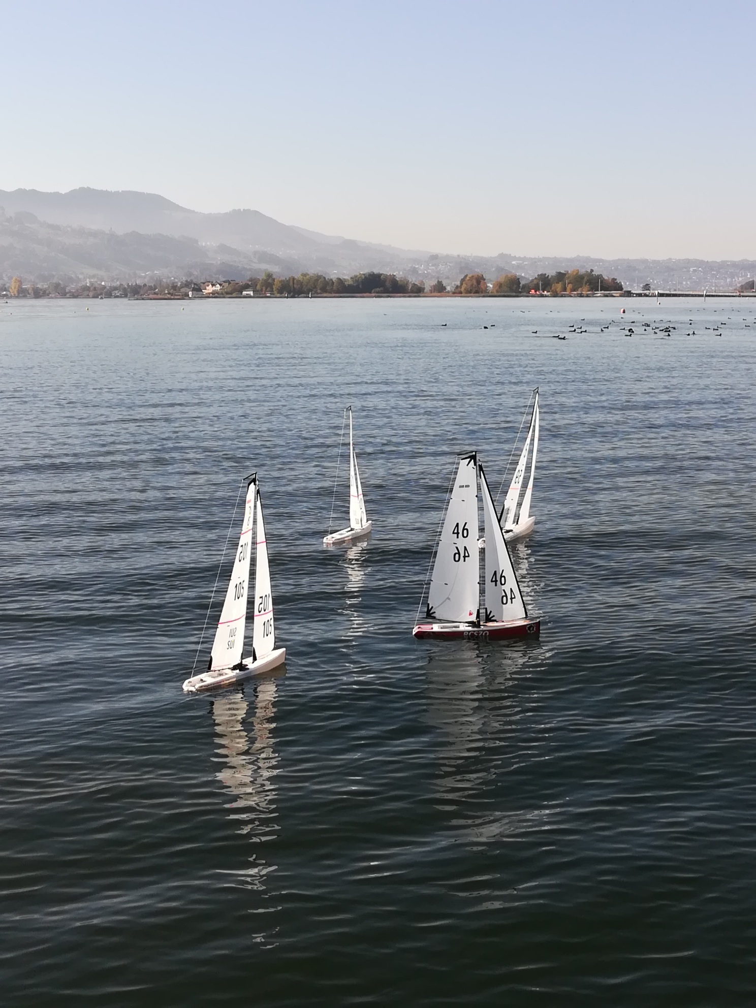 IMG_20191026_124635_resized_20191026_043524648