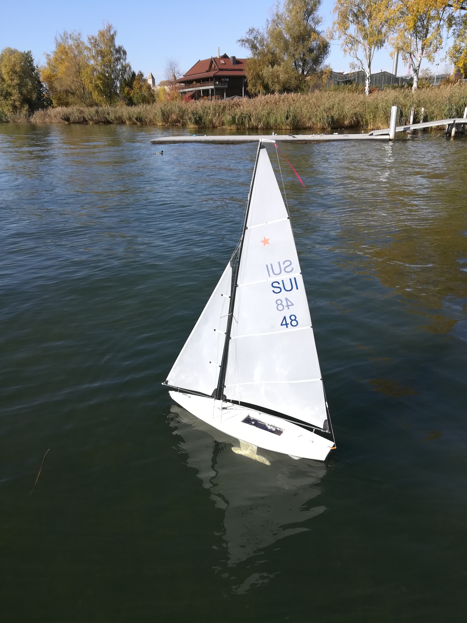 IMG_20191026_140004_resized_20191026_043453390