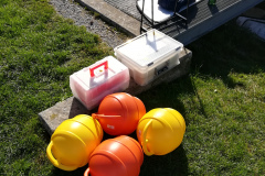 IMG_20191026_122050_resized_20191026_043527765