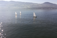 IMG_20191026_124551_resized_20191026_043521397