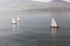 IMG_20191026_124556_resized_20191026_043522891