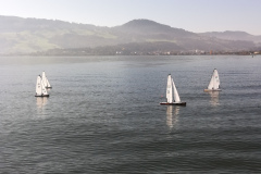 IMG_20191026_124600_resized_20191026_043523601