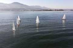 IMG_20191026_124617_resized_20191026_043527216