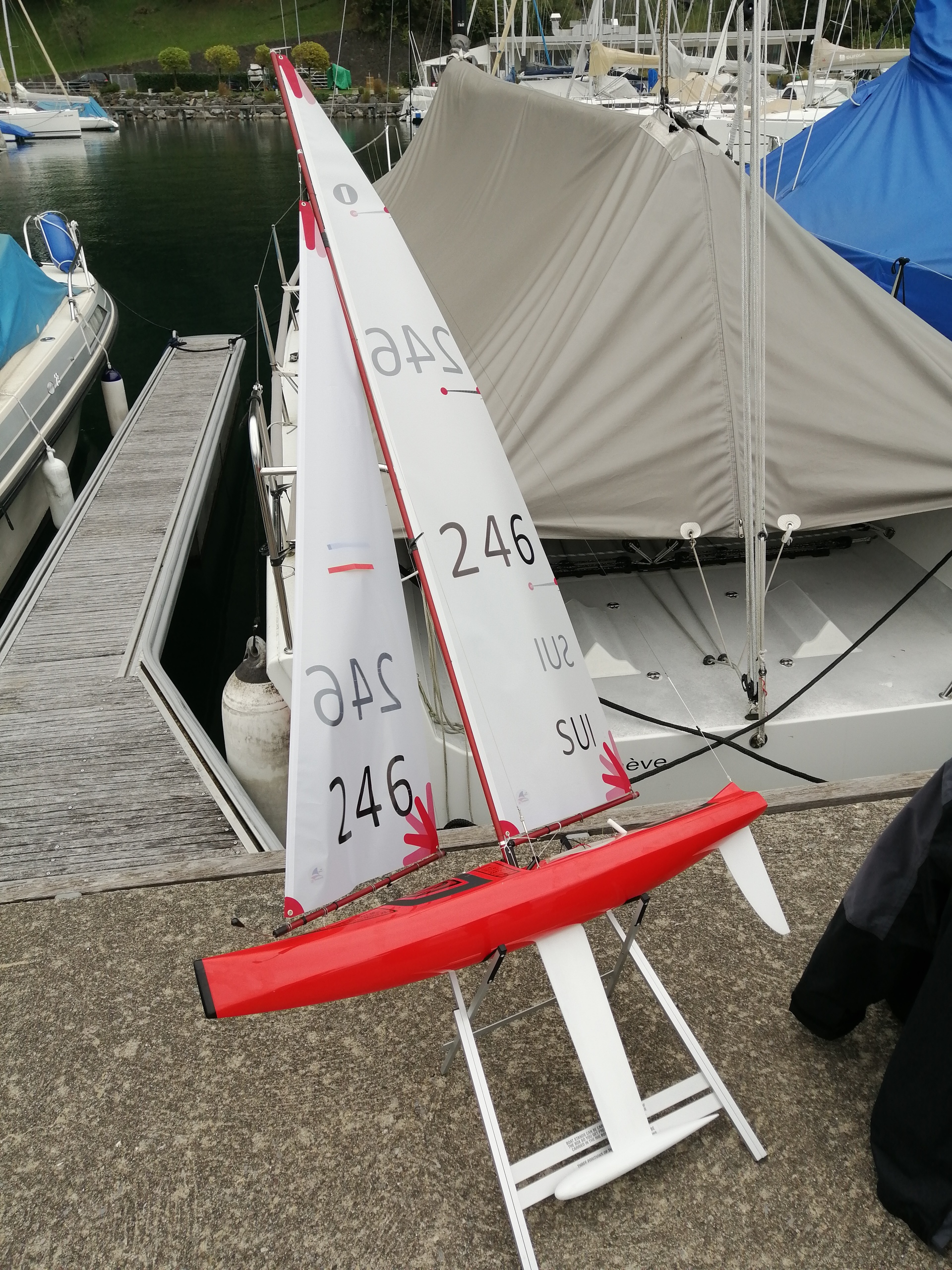 IMG_20211009_105238_resized_20211009_064638411