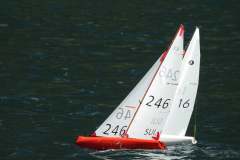 195213692_10226209065678164_8542604008942913271_n