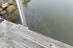 IMG_20241026_110824