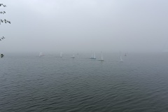 IMG_20241026_151437
