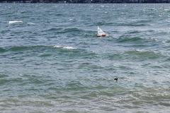IMG_20230325_144922