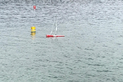 WhatsApp Image 2019-05-26 at 16.25.44(1)