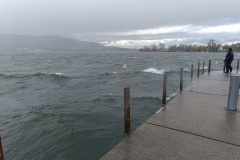 IMG_20240323_093248