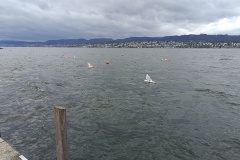 IMG_20240323_110129