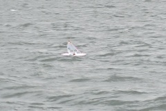 IMG_20240323_123806