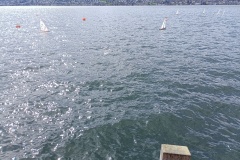 IMG_20240324_132433-Kopie