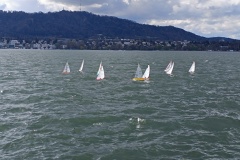 IMG_20240324_144746-Kopie