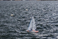 IMG_20240324_150006