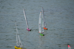 DSC_0117