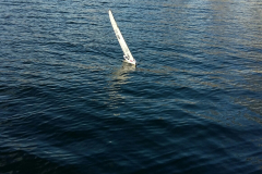 20171202_141010_1512224107720_resized