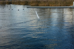 20171202_142653_1512224116693_resized