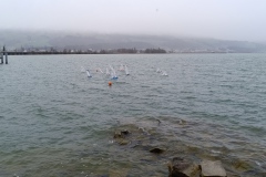 IMG_20260314_112408
